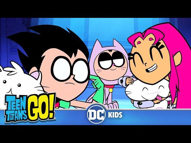 Teen Titans Go! | More Cats Cats Cats | @dckids