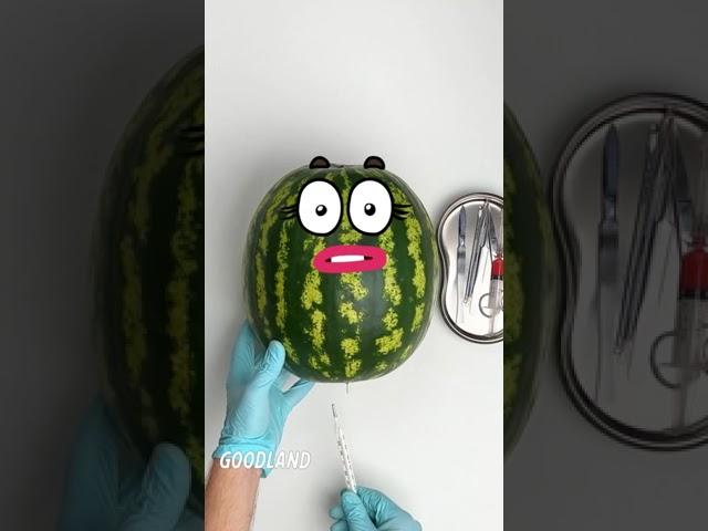 Goodland | Watermelon gives birth  #goodland #shorts #doodles #doodlesart #animation