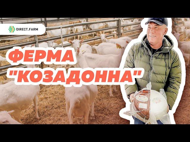 Молочная ферма "КозаДонна". Зааненская порода коз