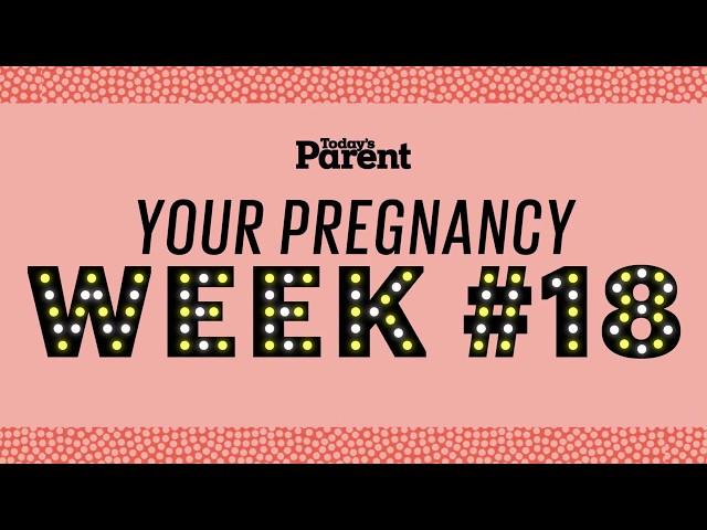 Your pregnancy: 18 weeks