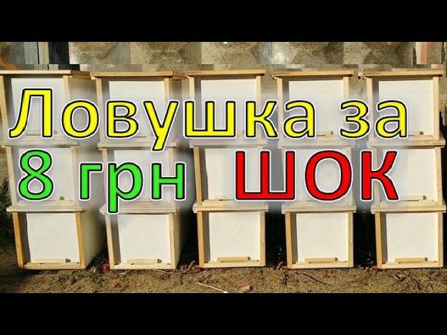 Ловушка для роя за 8 грн. Делаю с...