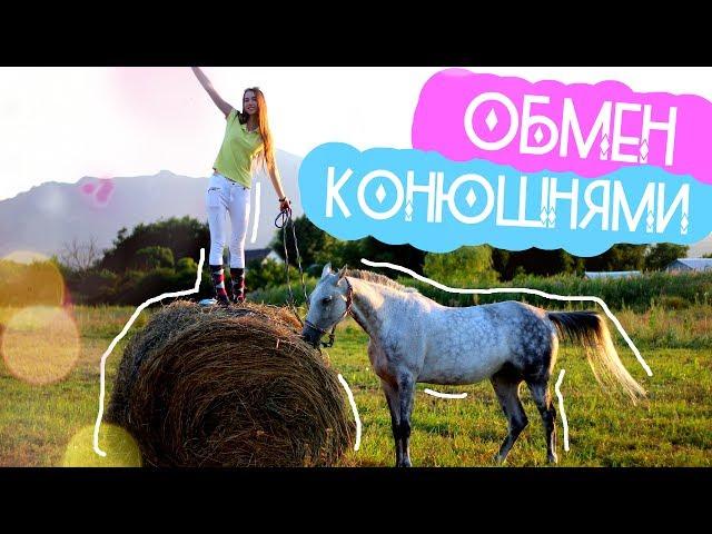 ОБМЕН КОНЮШНЯМИ | Уехала за 2600 км | У Алисы и Медеи