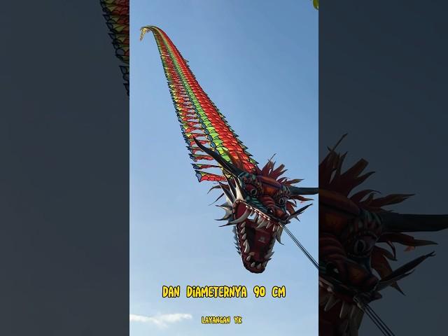 The Biggest Viral Dragon Kite