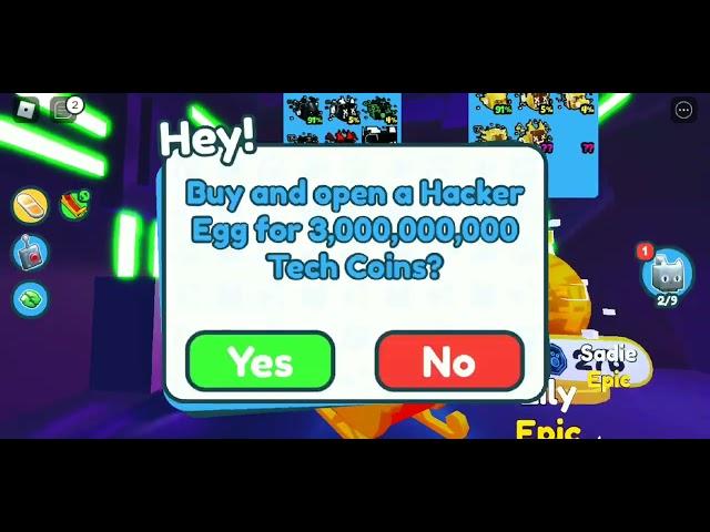 Hacker Eggs Pet Simulator x