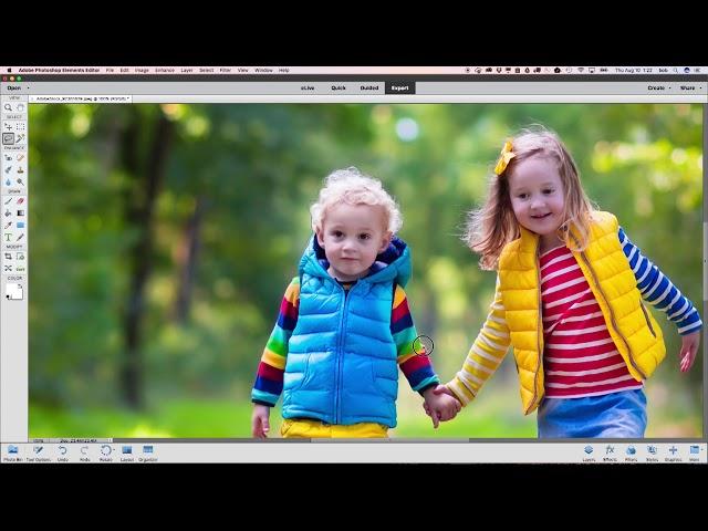 Make Precise Selections Effortlessly with Photoshop Elements 2018