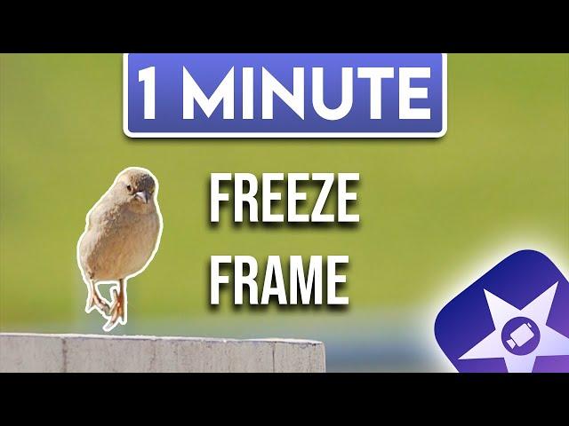 iMovie : How to Freeze Frame