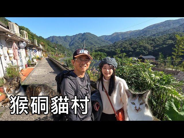 Houdong Cat Village - Recommend my daughter's channel @Jessica.0111