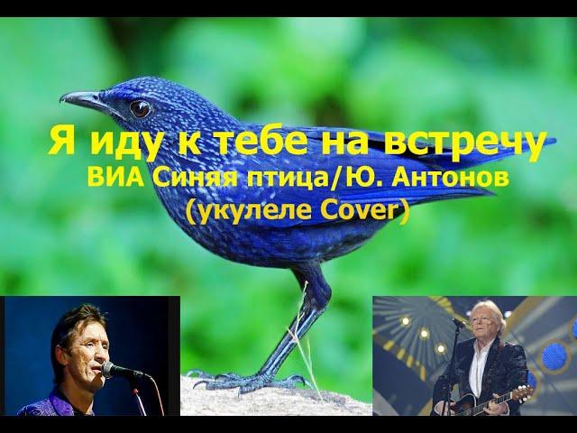 Я иду к тебе на встречу (укулеле Cover)