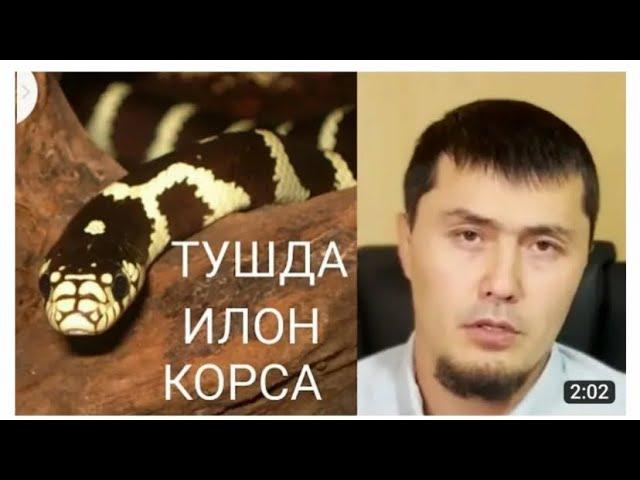 Умар кори туш табири тушда илон курса#shortsvideo #исломмаданияти #маруза #rek #abdullohdomla