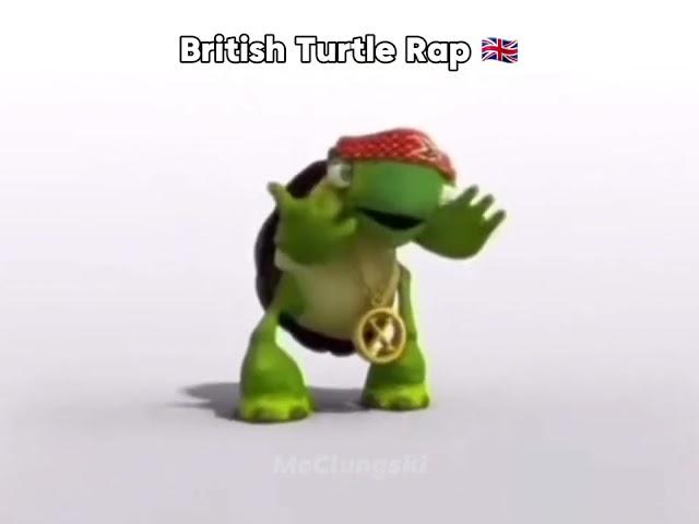 british turtle rapping