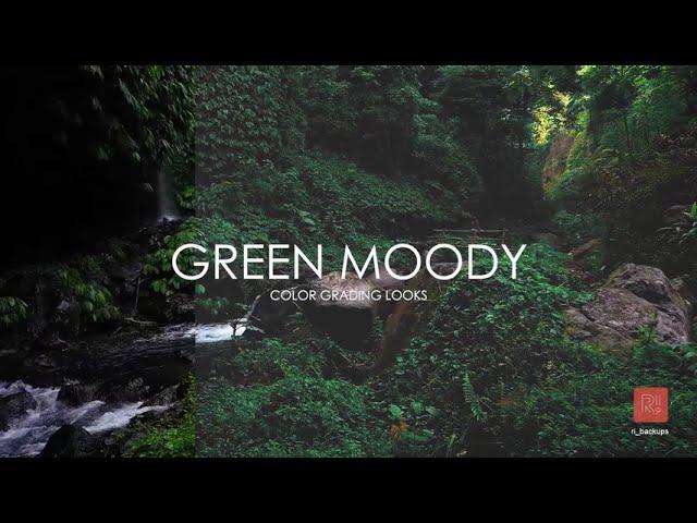 Green Dark Moody Presets Adobe premiere pro color grading presets #Shorts