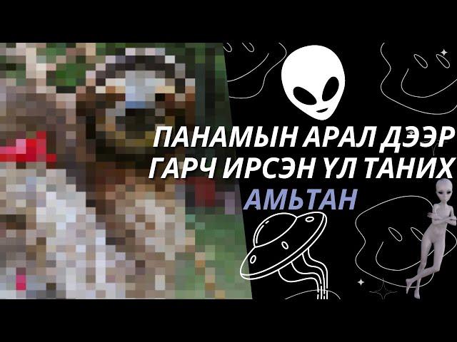 PANAMA-ын арал дээр гарч ирсэн ҮЛ ТАНИХ АМЬТАН ? Болсон явдал #9