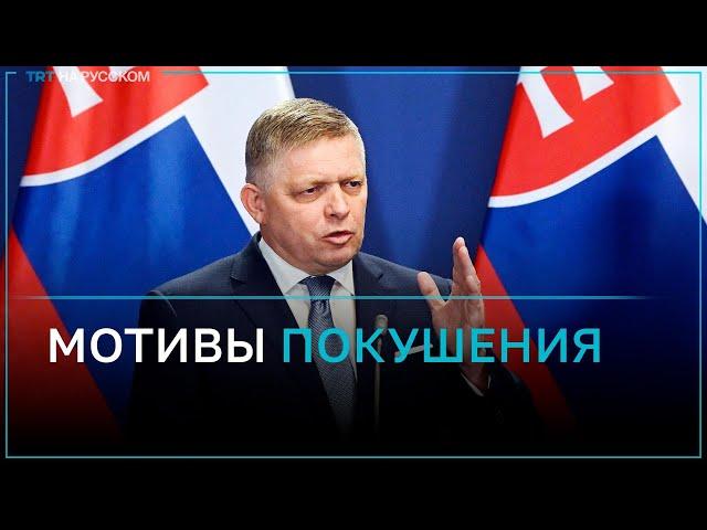 Стрелявший в премьер-министра Словакии: мне не нравится политика правительства