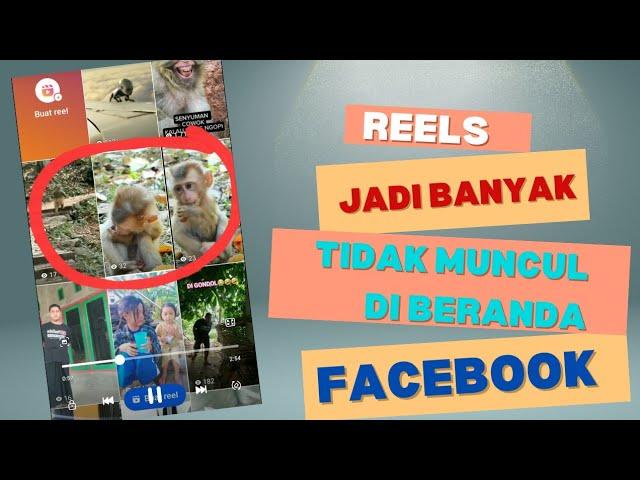 Cara mengatasi video reels tidak muncul di beranda | Video reels ganda beranak pinak