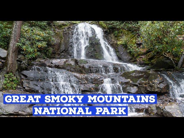 Top 10 Sights at Great Smoky Mountains National Park | Plus tips for visiting | Know before you go!