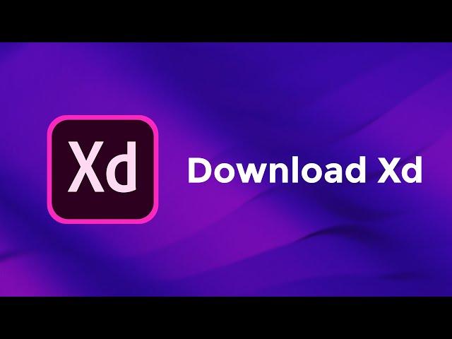 Download Xd - Adobe Xd Basics Course