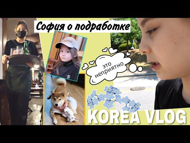 Сходили к Софии на работу ^^ Домашний влог / KOREA VLOG