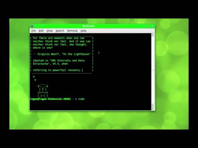 How to Install Programs on Linux Via Terminal