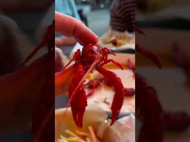 Ever EATEN a CRAYFISH???