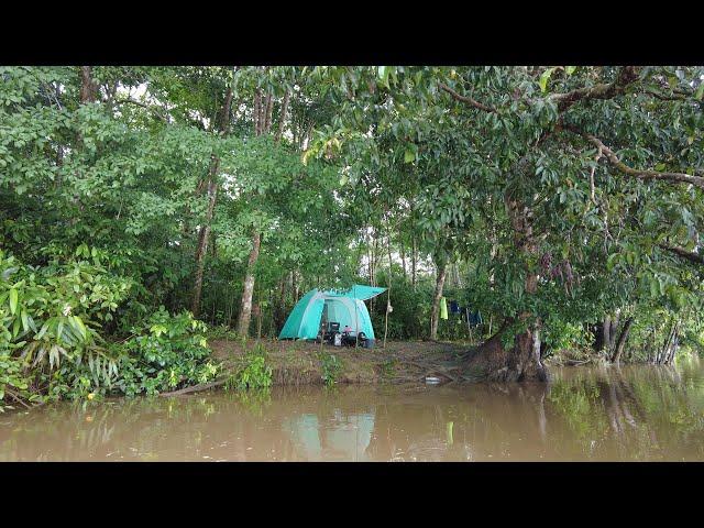 BERMALAM DI PINGGIR SUNGAI BESAR SAAT AIR NAIK DAN PANEN IKAN BAUNG DI RAWA KERUH..