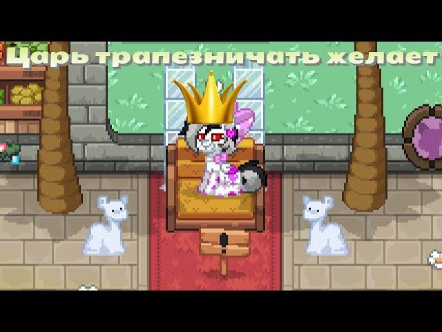 ШИКАРНЫЙ ПАТИ ОСТРОВ ОТ ПОДПИСЧИКА В PONY TOWN