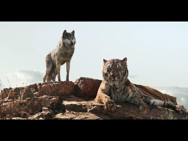 Jungle Book (2016) - Shere Khan kills Akela