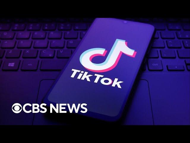 TikTok asks Supreme Court to block ban