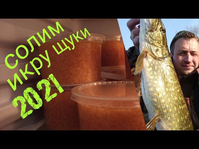 икра щуки засолка           30 лет  солю икру щуки только  таким способом !!! 