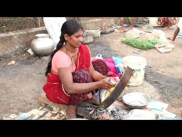 Amazing Big Fish cutting Skills by Village Woman|Big Live Fish|Village Style Fish Cutting by Lady