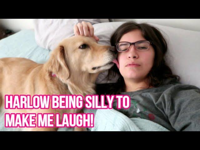  Service Dog’s FUNNY QUIRKS: Cheering Me Up on a HARD DAY  (4/9/19)