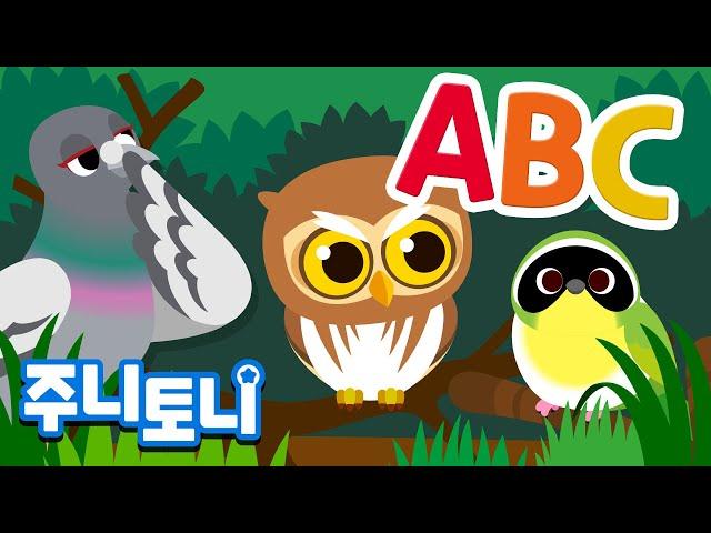 알파벳 새 | 다양한 새들을 알파벳과 함께 배워요  | 동물동요 | Animal Songs | 알파벳송 | 주니토니 by 키즈캐슬