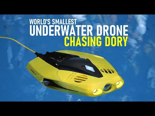 Chasing Dory ROV Review - World's Smallest Underwater Drone | DansTube.TV