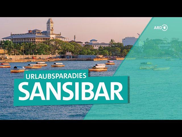 Sansibar: Traumstrände und Tauchparadies vor der Küste von Tansania | ARD Reisen