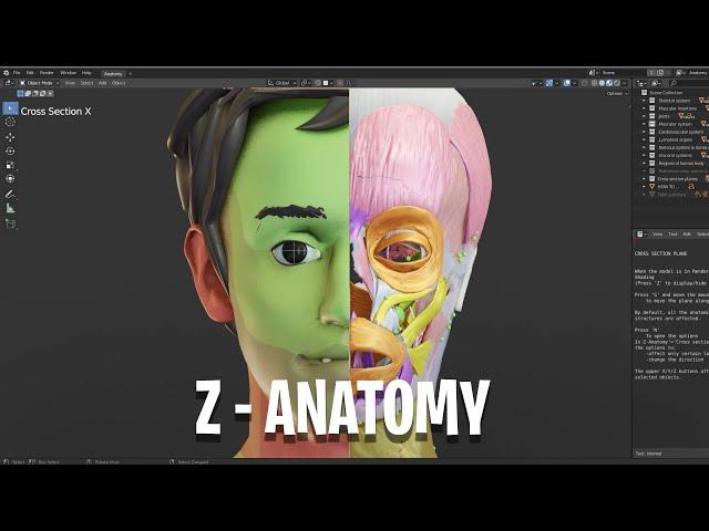 Free & Open-Source Anatomy Project For Everyone! 