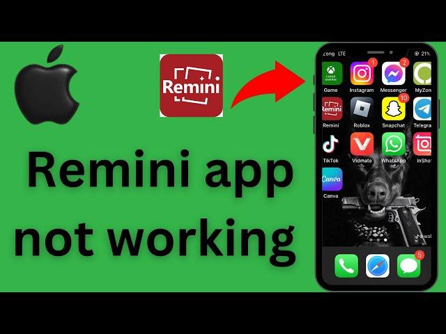 Remini app not working on iPhone problem solve