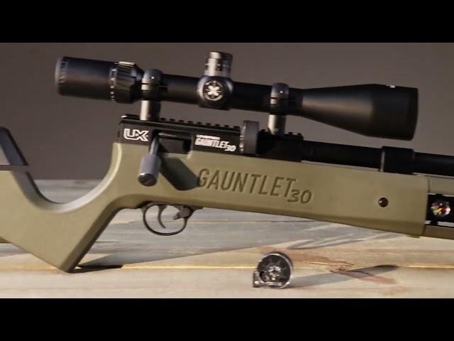 Gauntlet air rifle review