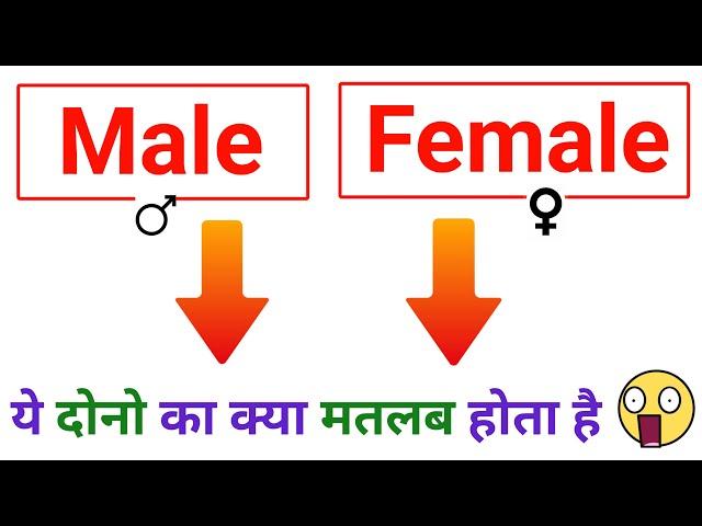 Male Female Ka Matlab Kya Hota Hai | Gender Main kya select karen