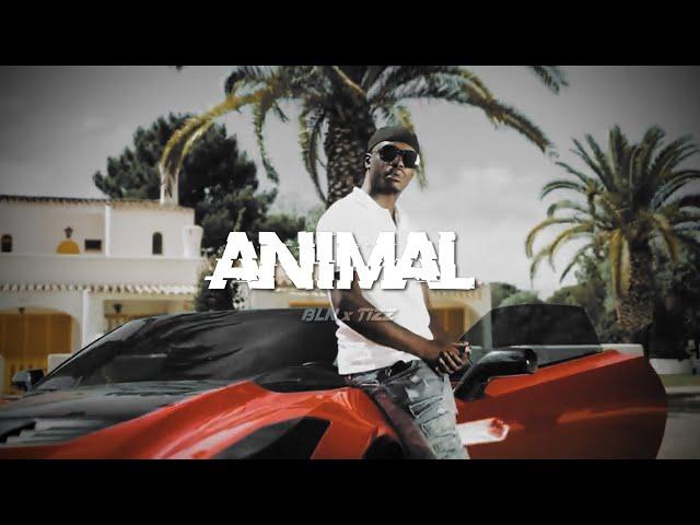 (FREE) Werenoi x Djadja & Dinaz Type Beat "ANIMAL" | Instru Mélodieuse 2024