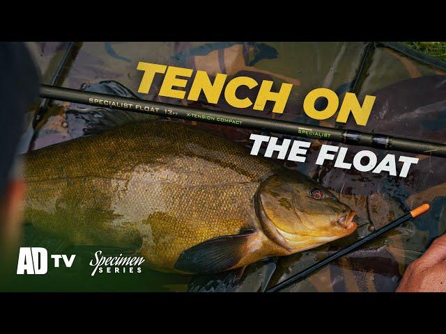 Tench Fishing - Specimen Series - Tench On The Float