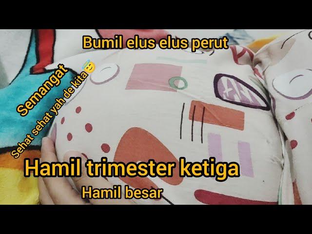 HAMIL TRIMESTER KETIGA #bumil #eluselusperut