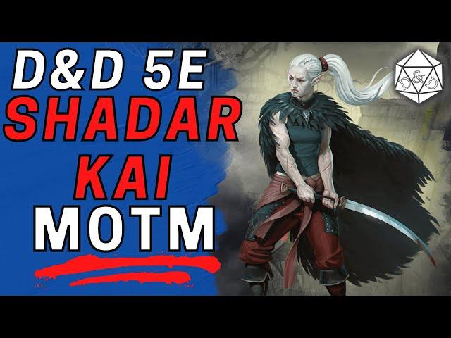 A Great Race for ANY Build | D&D 5e Shadar-kai Update and Deep Dive