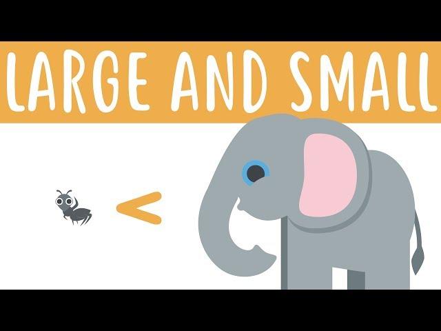 Large and Small Things - Superbeginner Spanish - Humor #7