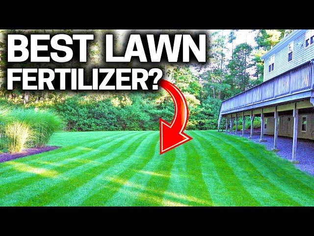 What is the BEST LAWN Fertilizer - STOP Wasting Money!