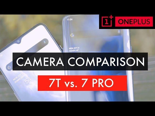 OnePlus 7T vs OnePlus 7 Pro Camera Test and Comparison || Daylight