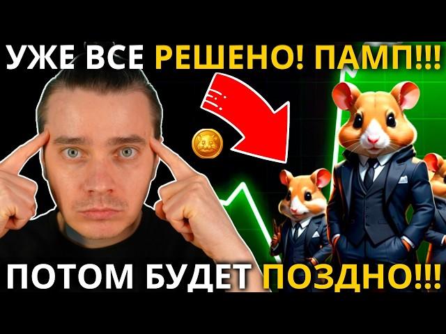 ГОТОВЬСЯ! ️ HAMSTER KOMBAT 🟢 УЖЕ ВСЕ РЕШЕНО! ПАМПУ БЫТЬ! ОБЗОР HAMSTER KING! ПОТОМ БУДЕТ ПОЗДНО!!!