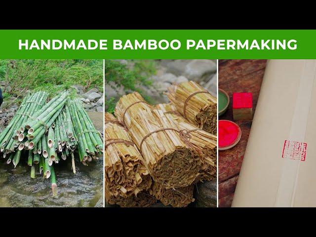 The Delicate Craft of Handmade Bamboo Papermaking in a Picturesque Rural Village