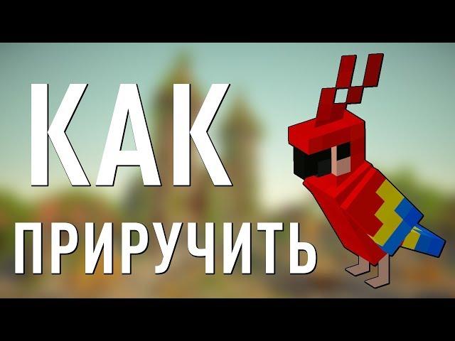 КАК ПРИРУЧИТЬ ПОПУГАЯ В MINECRAFT? | HOW TO TRAIN YOUR PARROT IN MINECRAFT?