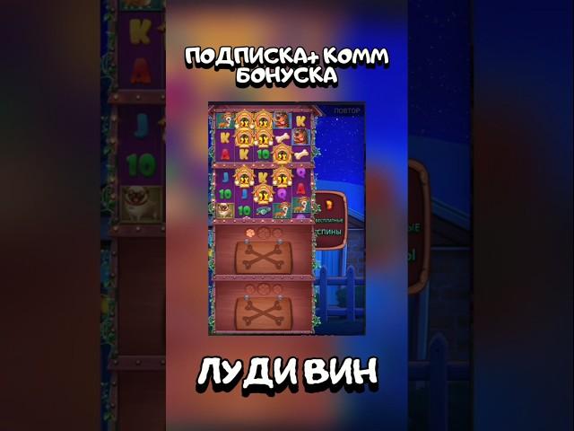 БОНУС 300Х В СОБАКАХ | #thedoghousemultihold #slots #sweet #casinogames #streamer #cats #funnyvideo