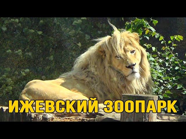 Ижевский зоопарк | Удмуртская Республика