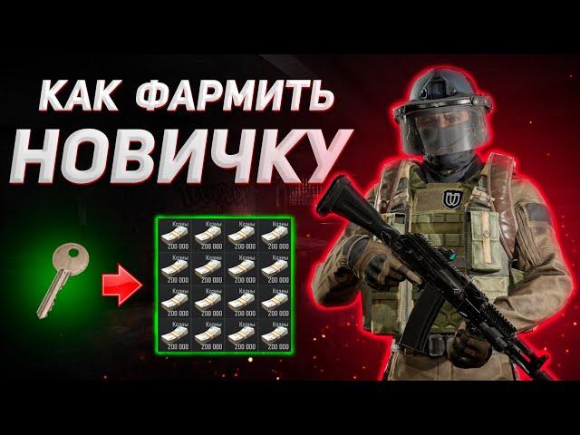 ARENA BREAKOUT | ГАЙД | КАК ЛЕГКО ФАРМИТЬ НОВИЧКУ В АРЕНА БРЕЙКАУТ